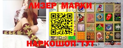 Альфа ПВП Можга