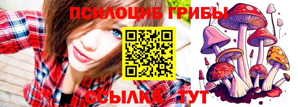 Северск  Псилоцибиновые грибы Cubensis  Галлюциногенные грибы мухоморы  Вход с VPN 