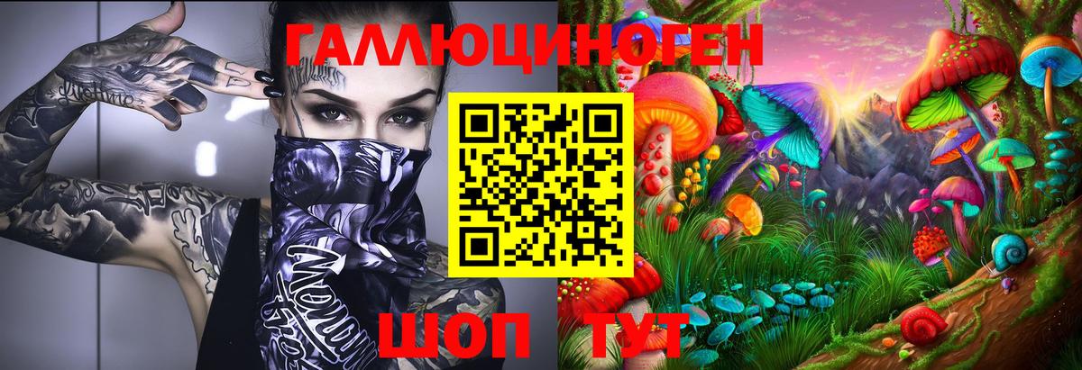 Галлюциногенные грибы GOLDEN TEACHER Северск